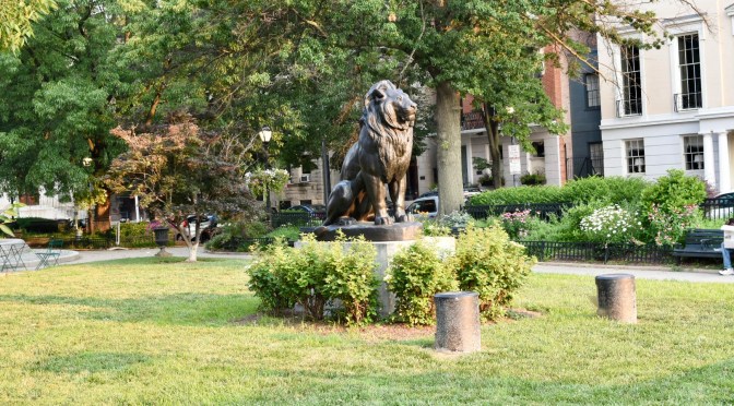 A New Day in the Valley!